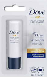 Dove Lippenpflege Balsam 4,8 g Dove Lippenpflege Balsam 4,8 g