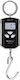 WH-C200 Electronic Professional Hanging Scale with Weighing Capacity of 200kg and Division 50gr in Black-Silver colour