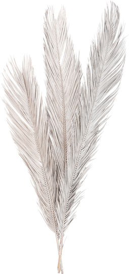 Dried Plant Palm Tree Silver Freebox