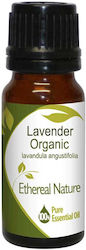 Nature & Body Essential Oil Lavender 10ml