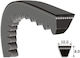 Continental Motorrad-Getriebegurt AVX10X850