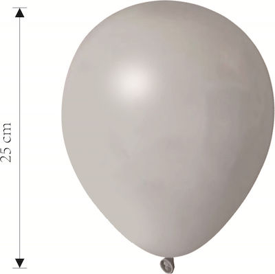 Set 20 Ballons Latex Gray