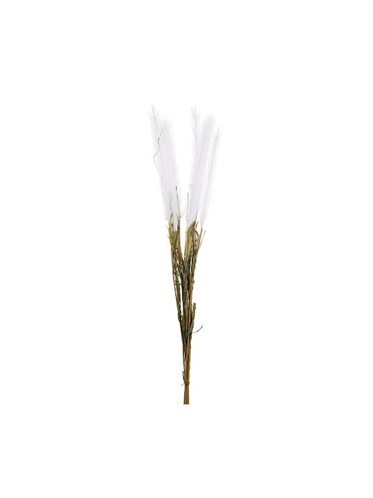 Κλαδί Pampas λεπτό 86cm- A27009 - Λευκό