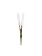 Pampas branch thin 86cm- A27009 - White