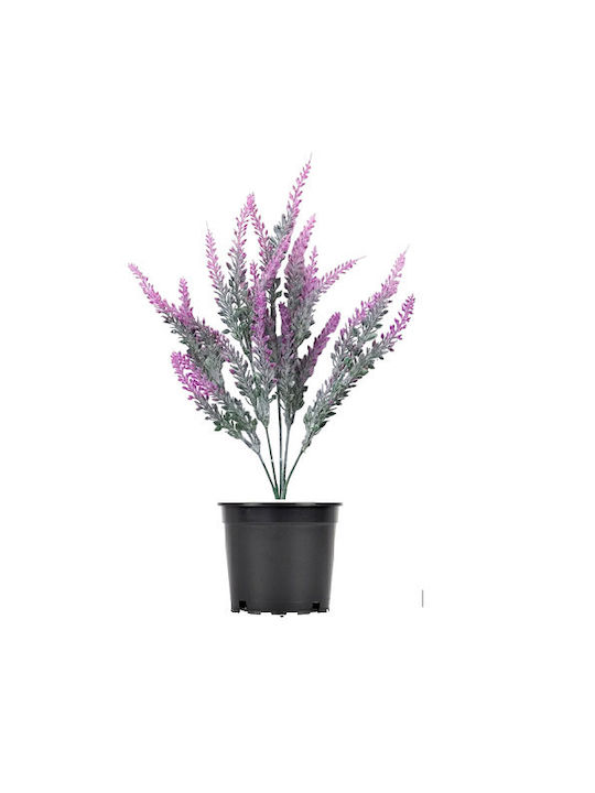 Dekorativer Lavendel Rosa im Topf 38cm