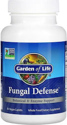 Garden Of Life Fungal Defense 84 вегетариански капсули
