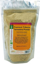 HealthTrade Organic Product Tribulus Tribulus Terrestris Powder 100gr