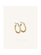 StanStefan Earrings Hoops made of Steel Gold Plated