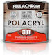 Pellachrom Pool Ground Pad Transparent Suitable for Wood / Stone 0.75lt