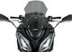 WRS Motorcycle Windshield & Windscreen Tinted Visor for Kawasaki Z 1000 KA014FS