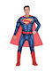 Carnival Unisex Costume Superman