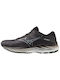 Mizuno Ανδρικά Αθλητικά Παπούτσια Running Ebony / Snowcrest / Black