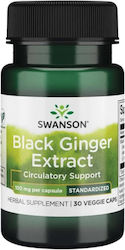 Swanson Black Ginger Extract 100mg Ginger 30 κάψουλες