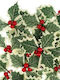 Christmas Decorative Mistletoe 13cm Leaves 25pcs