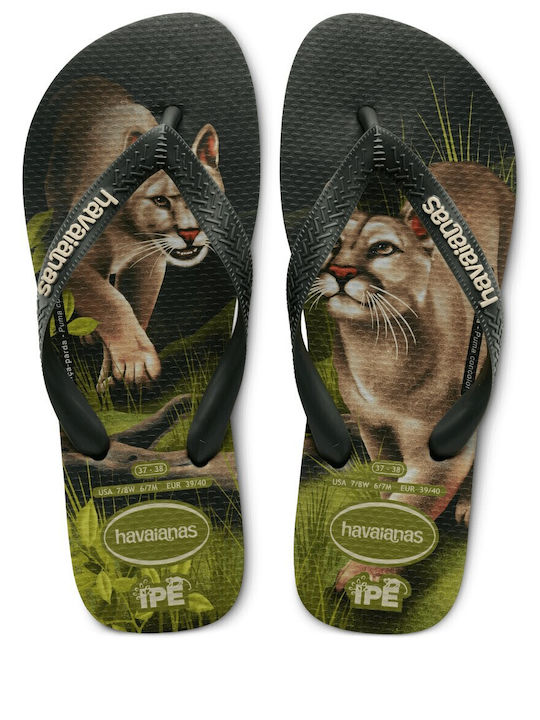 Havaianas Ipe Khaki