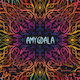 Brettspiel Amygdala für 2-4 Spieler 10+ Jahre (EN) Game Brewer