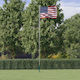 Polyester Flag of Flag Pole with Stake