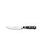 Wusthof Steak Knife of Stainless Steel 12cm 4068