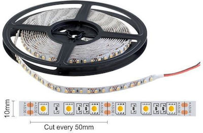 Spot Light LED Streifen Versorgung 24V mit Kaltweiß Licht Länge 1m und 120 LED pro Meter