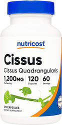 Nutricost Cissus Quadrangularis 600мг 120 капси Nutricost Cissus Quadrangularis 600мг 120 капси