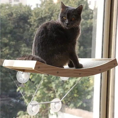 Hammock Cat Black