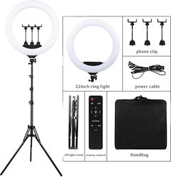 Lighting Ringlicht 55.88cm mit Stativ Boden und Halterung für Mobiltelefon