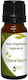 Nature & Body Aromatisches Öl Warm Gingerbread 10ml 1Stück