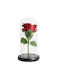 Eternal Rose 21cm with LED Dorosimo