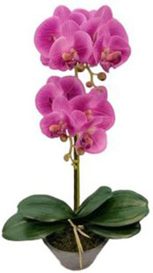 Artificial Plant in Pot Multicolour 48.5cm ForHome