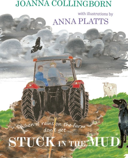 Stuck In The Mud