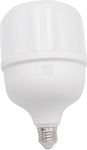Adeleq LED Lampen für Fassung E27 Kühles Weiß 1Stück