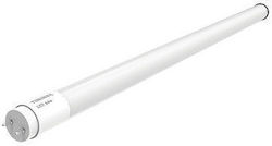 Toshiba Becuri LED Tip Fluorescent pentru Soclu G13 și Formă T8 Alb rece 1buc