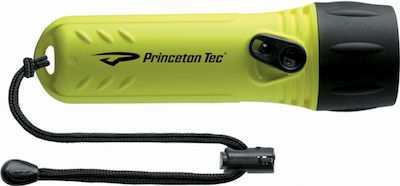 Princeton Flashlight LED