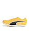 Evospeed Distance 11 Sport Shoes Spikes Yellow