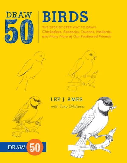 Draw 50 Birds Draw 50 Birds