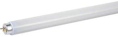 Vitus Fluorescent Lamp for Socket G13 with Shape T8 9W