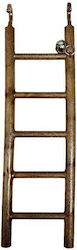 Tatrapet Bird Cage Staircase Game