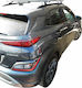 Nordrive (with Roof Rack Legs) Silver