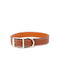 Donald Pet Care Dog Collar Leather in Brown color 39cm