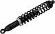 Moose Utility Division Hinten