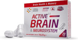 S-C-Nutrition Active11 Brain & Neurosystem 20 Capsules S-C-Nutrition Active11 Brain & Neurosystem 20 Capsules