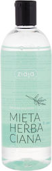 Ziaja Fresh Tea Mint 500ml Ziaja Fresh Tea Mint 500ml