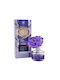 La Casa de los Aromas Diffuser με Άρωμα Λεβάντα S4518131 65ml