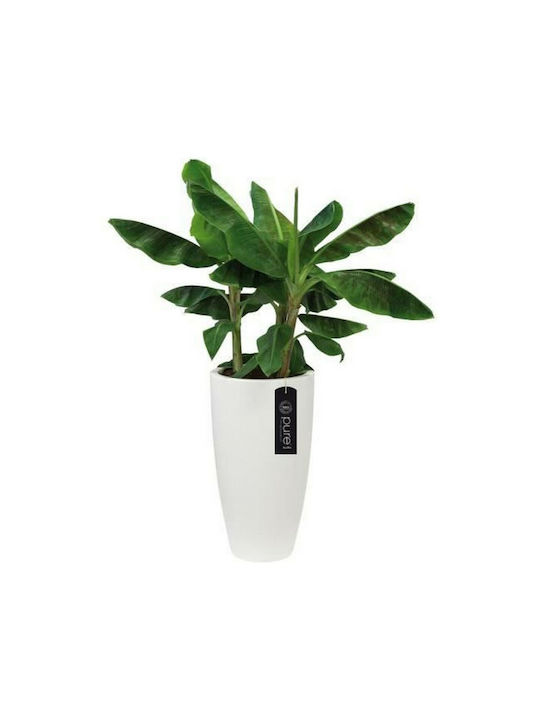 Elho Flower Pot 35x61.5cm White S7106097