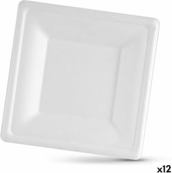 Rayen Disposable Plate 12pcs