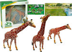 Miniature Toy Giraffes