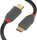 Lindy USB 2.0 Cable USB-C Male - USB-C PD Gray 0.5m