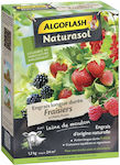 Algoflash Fertilizers