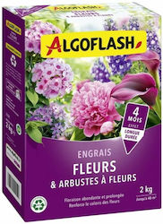 Algoflash Granular Fertilizer Potassium 2kg 1pcs