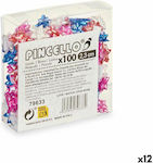 Pincello Gift Packaging 12pcs